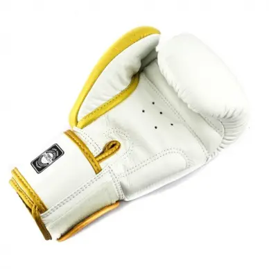 Gants de boxe Twins BGVL 8 - 5