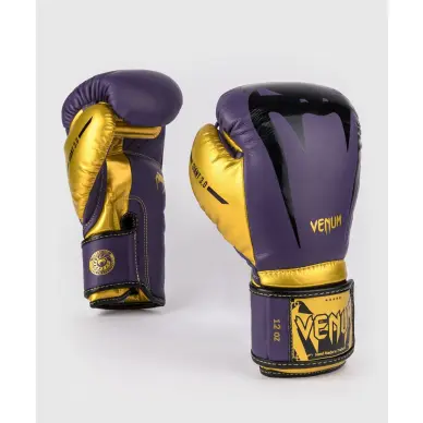 Gants de boxe Venum Giant 3.0 Edition Spéciale - 18