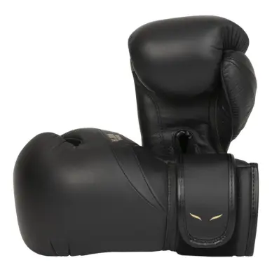 Gants de boxe Elion Élégant 100% cuir - 3