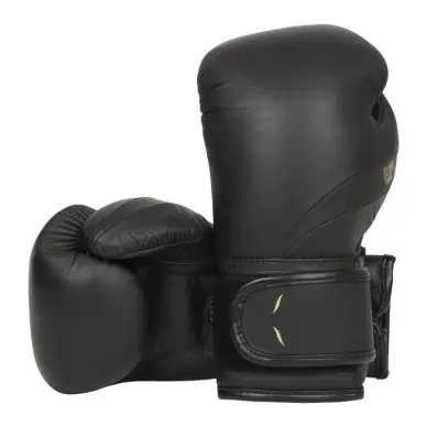 Gants de boxe Elion Élégant 100% cuir - 2