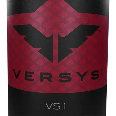 Punching Ball et Grappling Century Versys VS1 - 3