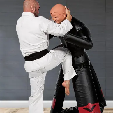 Base de frappe Century Versys VS Bob - 8