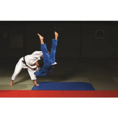 Nage Komi Special Judo 200x100x8cm