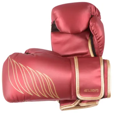 Gants de Boxe Elion Red Wing - 2