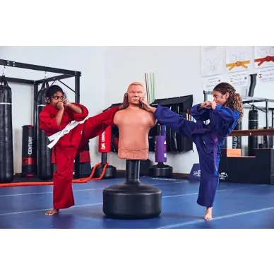 Punching Ball Bobby Bully Century - 4