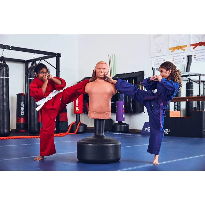 Punching Ball Bobby Bully Century