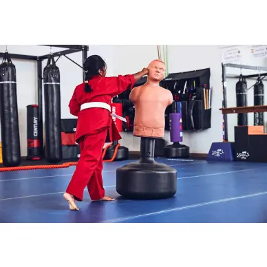 Punching Ball Bobby Bully Century - 5