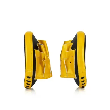 Pattes d'ours de Boxe Fairtex taille M - 4