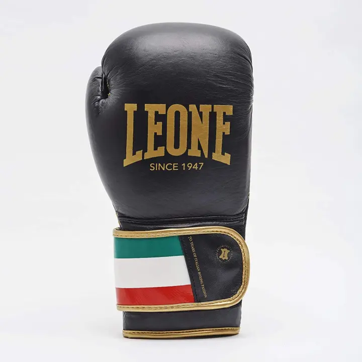 Gants de Boxe Leone Italie