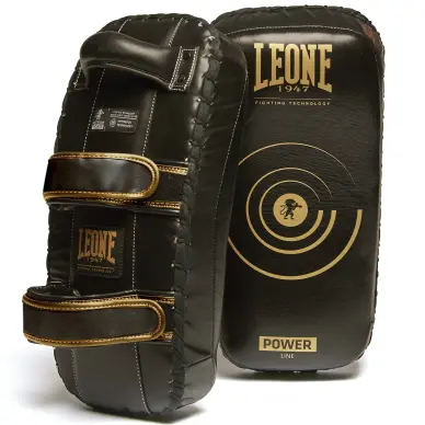 Pao de Boxe incurvé Leone