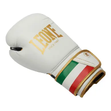 Gants de Boxe Leone Italie - 16
