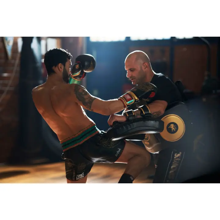 Pao de Boxe incurvé Leone