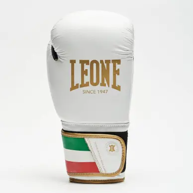 Gants de Boxe Leone Italie - 18