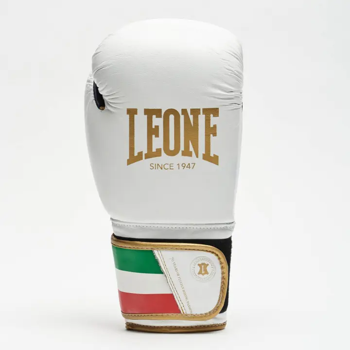 Gants de Boxe Leone Italie