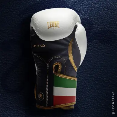 Gants de Boxe Leone Italie - 20