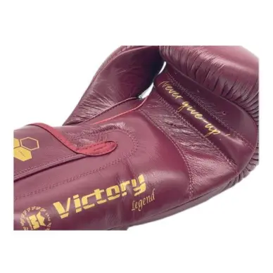 Gants de Boxe Montana Victory Legend - 5