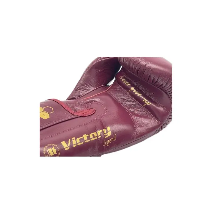 Gants de Boxe Montana Victory Legend