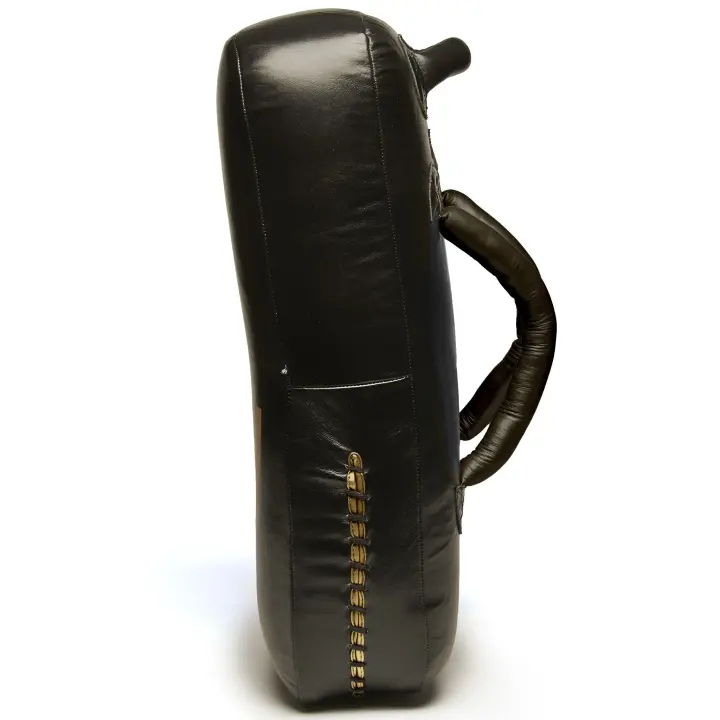 Bouclier de frappe Leone