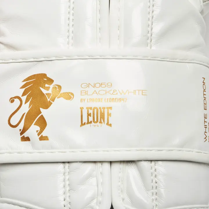 Gants de boxe Leone vintage