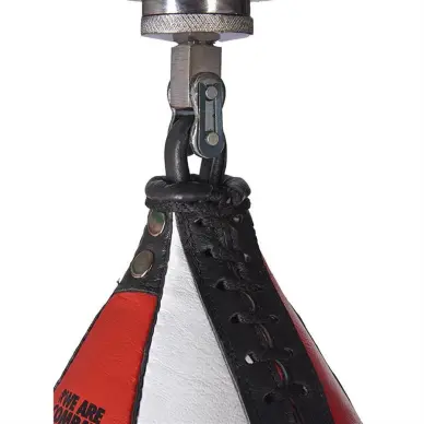 Poire de vitesse Leone - 6