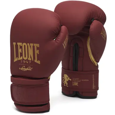 Gants de boxe Leone vintage - 29