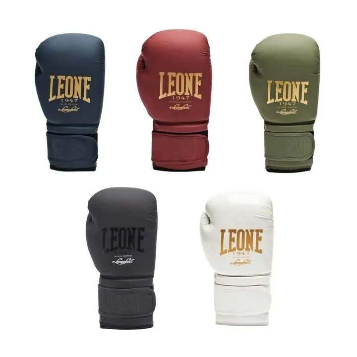 Gants de boxe Leone vintage