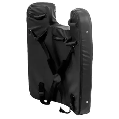 Bouclier de Frappe et Opposition - 2