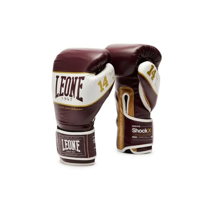 Gants de Boxe Leone Shock X Bordeaux
