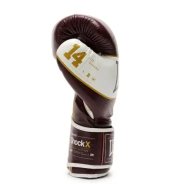 Gants de Boxe Leone Shock X Bordeaux - 4