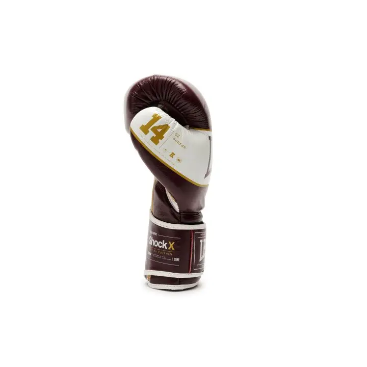 Gants de Boxe Leone Shock X Bordeaux