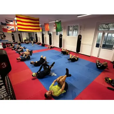 Sac de Frappe Pro Line Budofight - 14